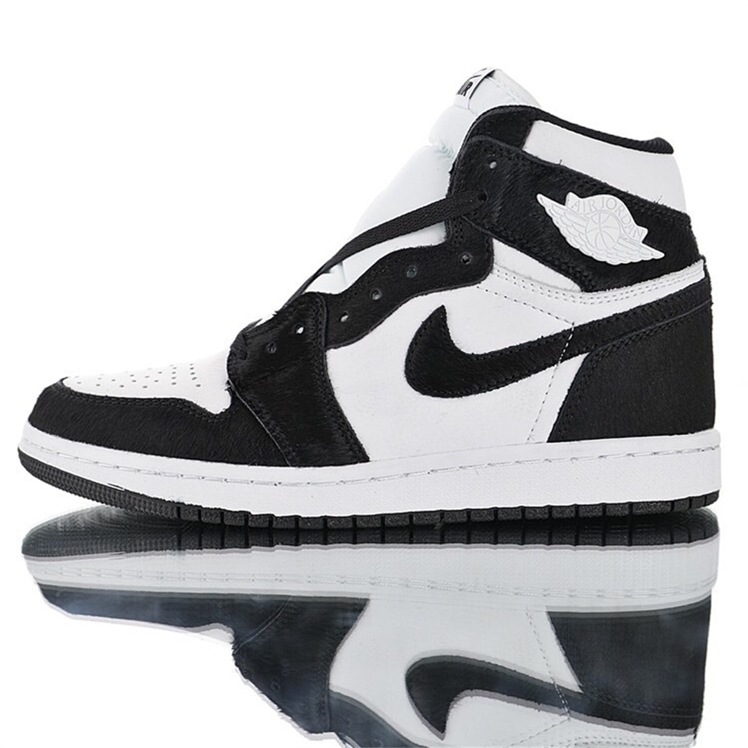 Air Jordan 1 High Sneaker CD0461-007