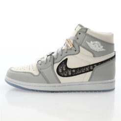 Air Jordan 1 High Sneaker CN8607-002