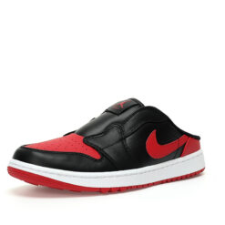 Air Jordan 1 Low Sneaker FJ1214-001