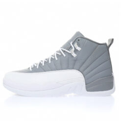 Air Jordan 12 Sneaker CT8013-015