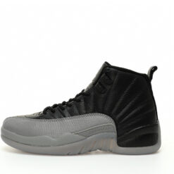 Air Jordan 12 Sneaker CT8013-019