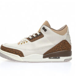 Air Jordan 3 Sneaker CT8532-102