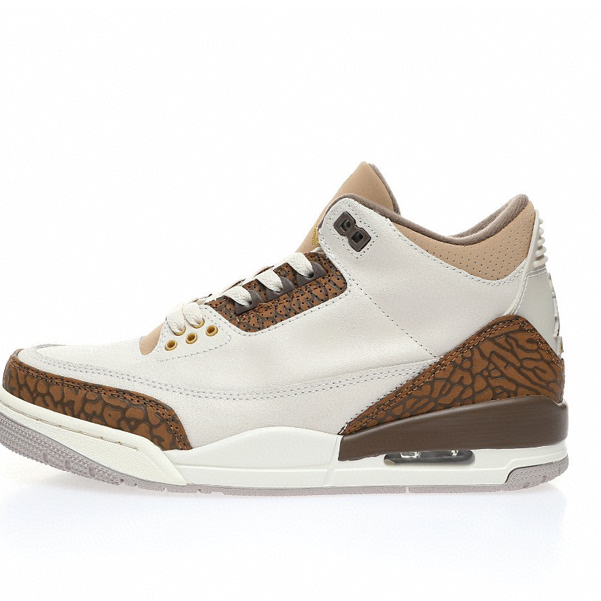Air Jordan 3 Sneaker CT8532-102