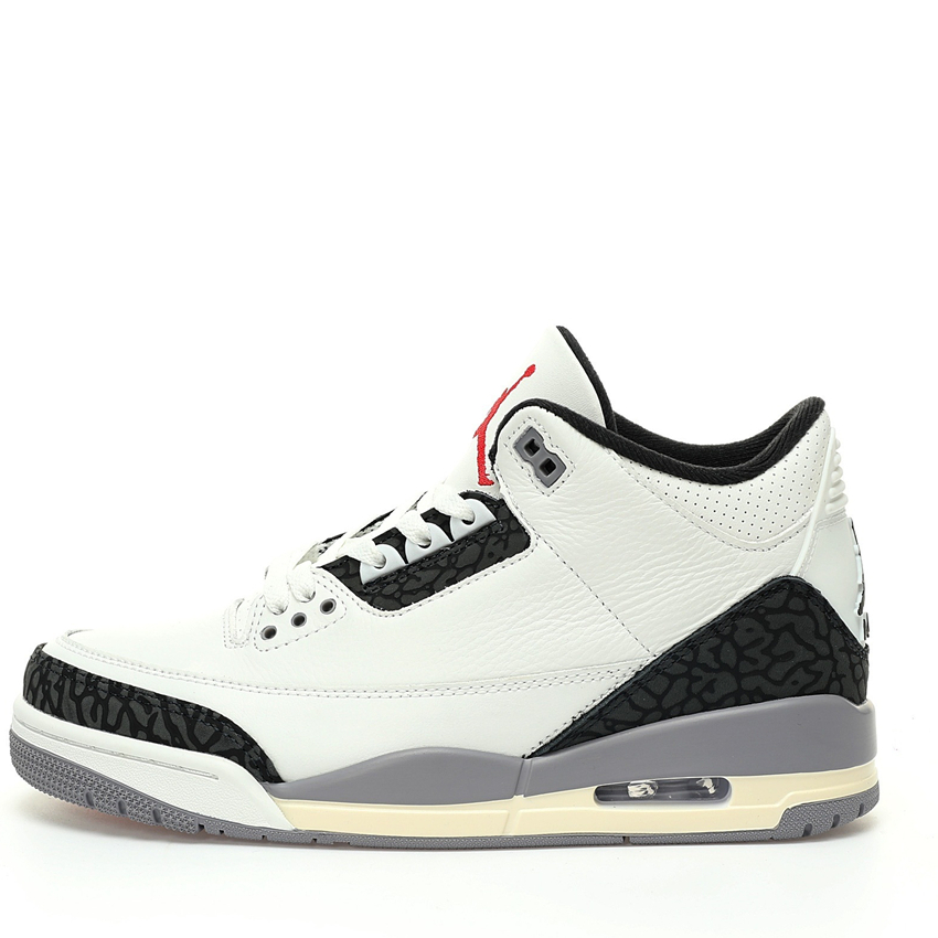 Air Jordan 3 Sneaker CT8532-106