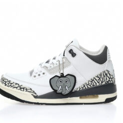 Air Jordan 3 Sneaker DX6665-100