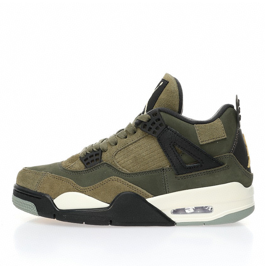 Air Jordan 4 Sneaker FB9927-200