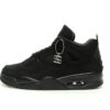 Air Jordan 4 Sneaker FV5029-010