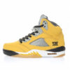Air Jordan 5 Sneaker 454783-701