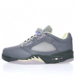 Air Jordan 5 Sneaker FJ4563-500