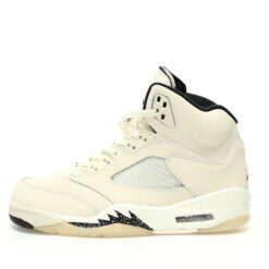Air Jordan 5 Sneaker FN7405-100