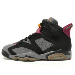 Air Jordan 6 Sneaker CT8529-063