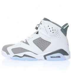 Air Jordan 6 Sneaker CT8529-100