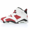 Air Jordan 6 Sneaker CT8529-106