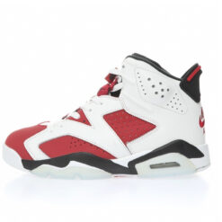 Air Jordan 6 Sneaker CT8529-106