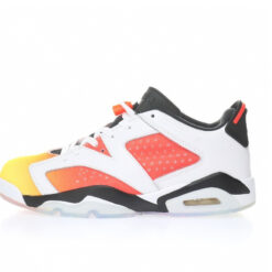 Air Jordan 6 Sneaker DC1048-110