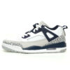 Air Jordan Spizike Low Sneaker FQ1759-140