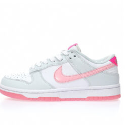 Nike Dunk Low SB Sneaker FN3451-161